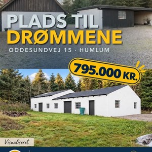 Opslagsbillede