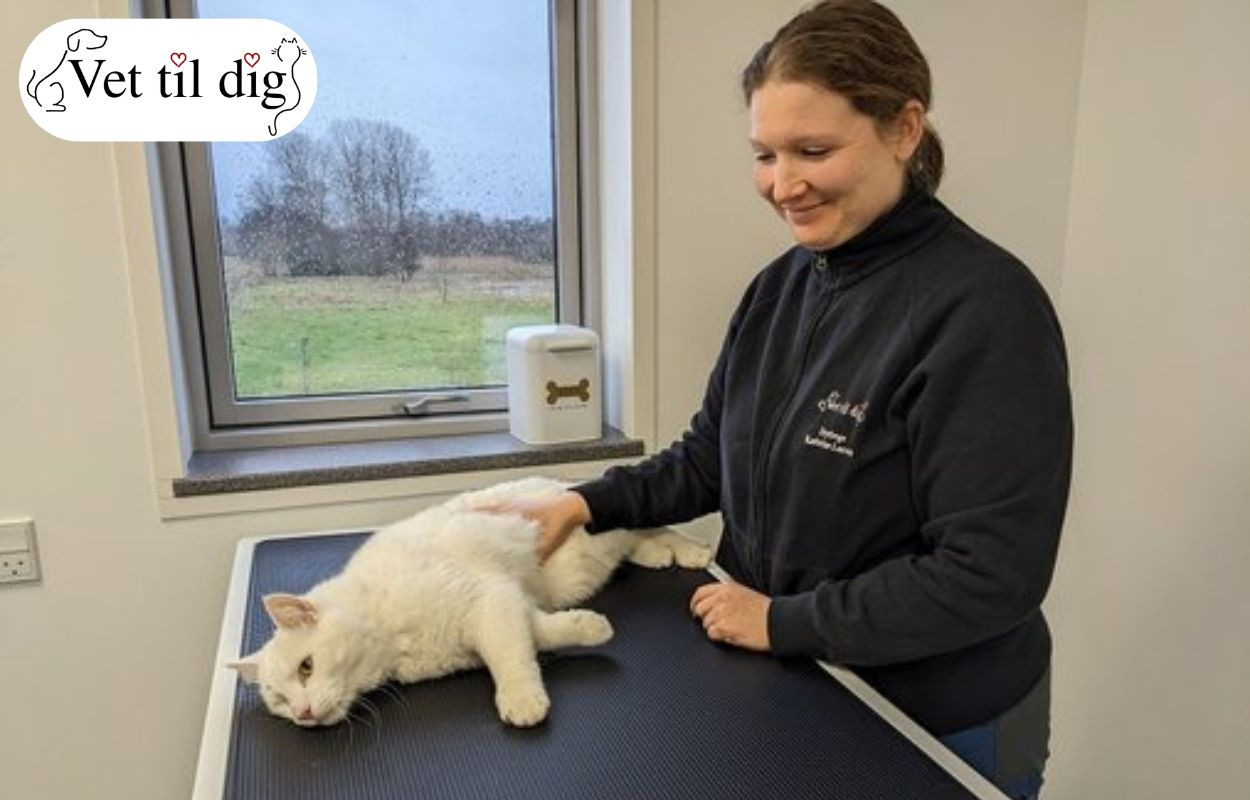 Vet til dig: Din lokale dyreklinik tilbyder personlig omsorg for dit kæledyr