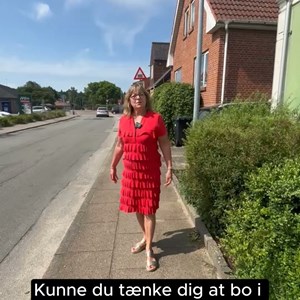 Opslagsbillede