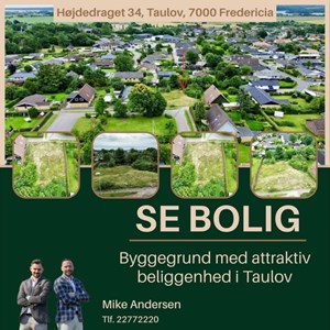 Opslagsbillede
