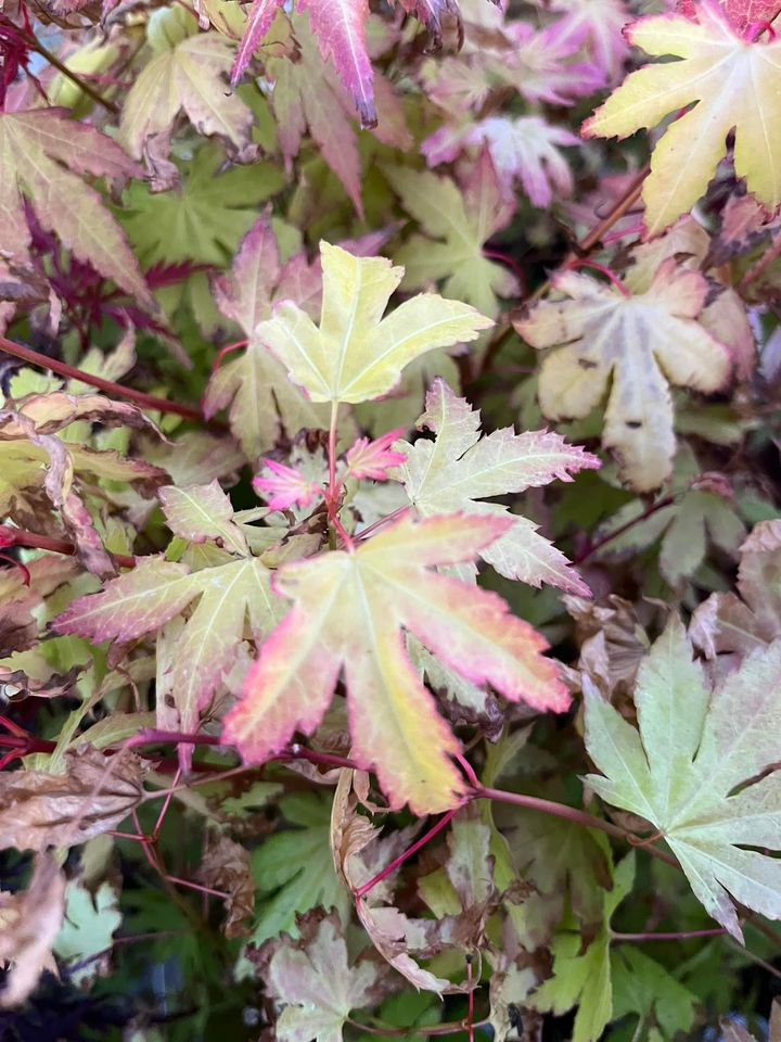 En finger på pulsen i Horsens
