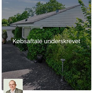 Opslagsbillede