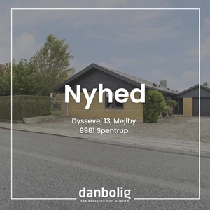 Opslagsbillede