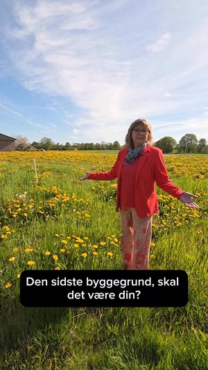 opslagsbillede