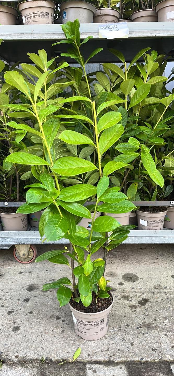 Hold dig ajour med dagens opdateringer fra Horsens