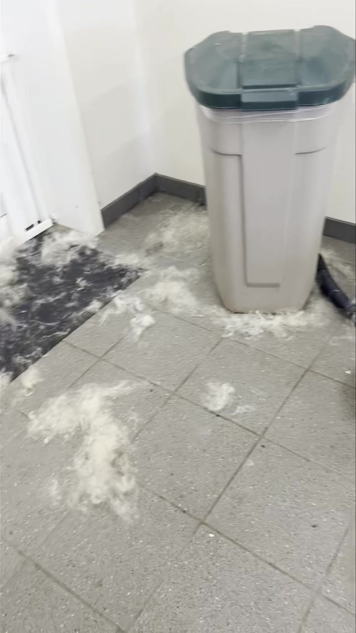 Opslagstavlen: Nyeste opdateringer fra Sæby