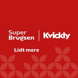 Opslagsbillede
