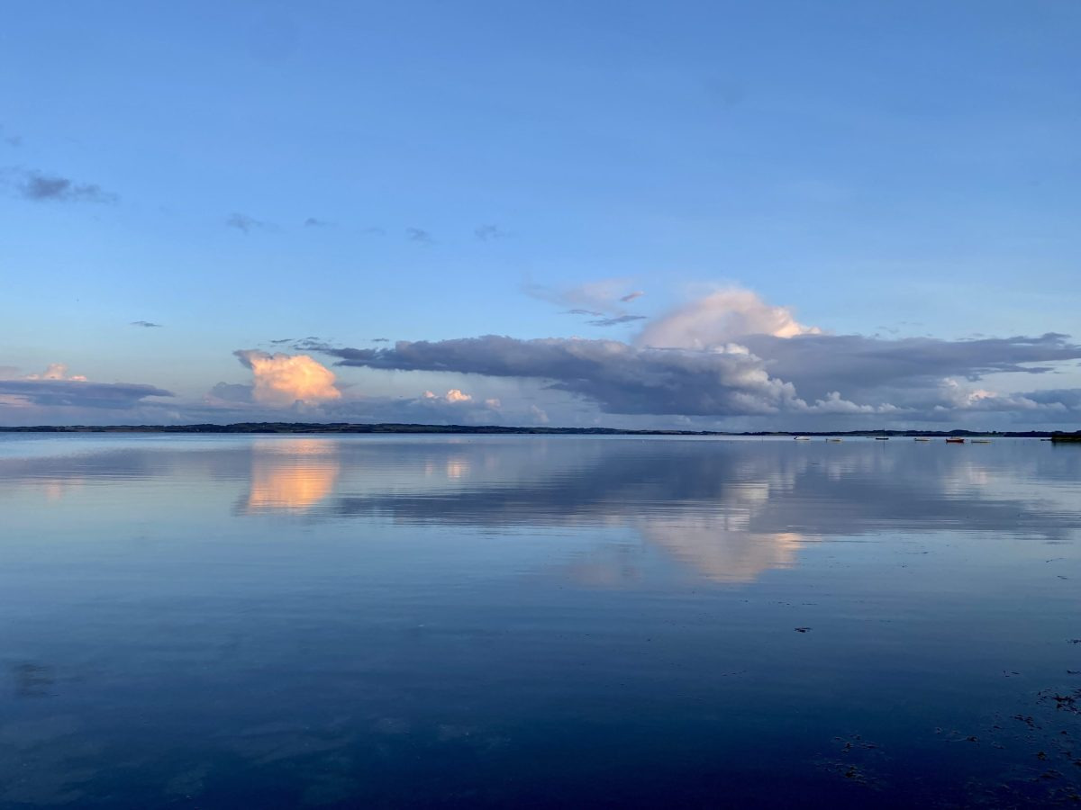 Det nyeste på Risskovs opslagstavle