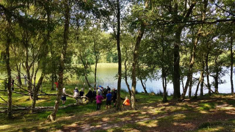 Oplev en smuk vandretur ved Viborgs sø