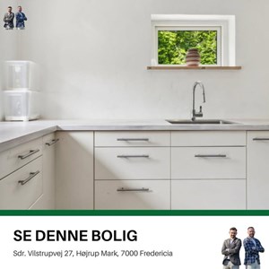 Opslagsbillede
