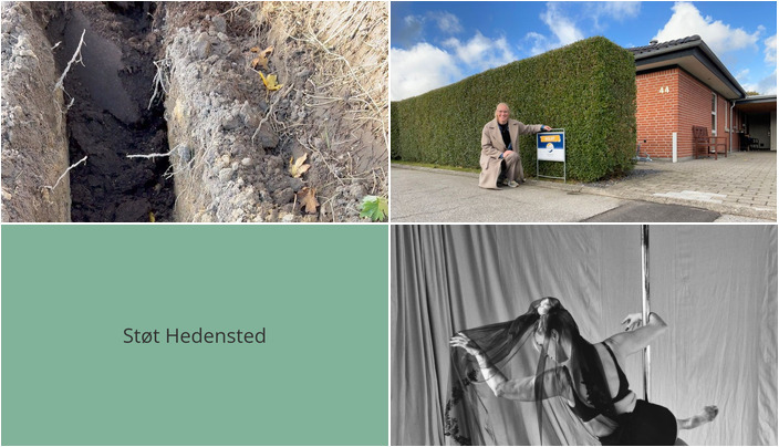 Nyt fra Pole Fitness Vejle, EDC Mæglerne Hedensted og Midtjysk blomstermarked 