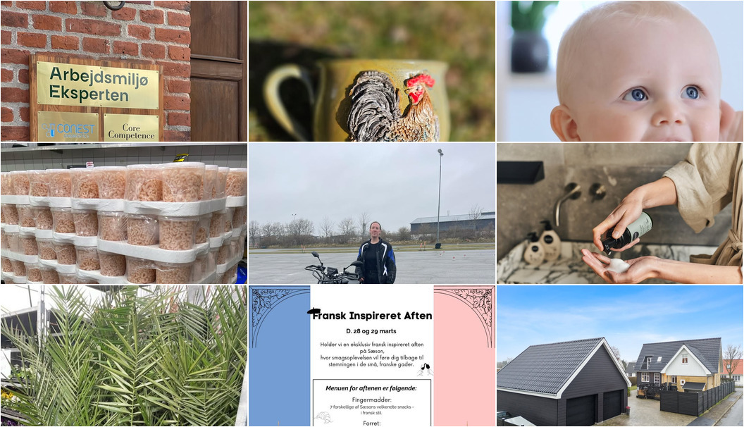 Nyt fra Mæglerhuset Sæby, Løvbjerg Frederikshavn, Skjoldmø Keramik og 6 andre