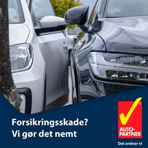 opslagsbillede