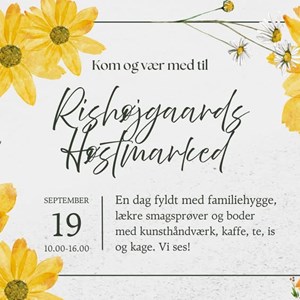 opslagsbillede