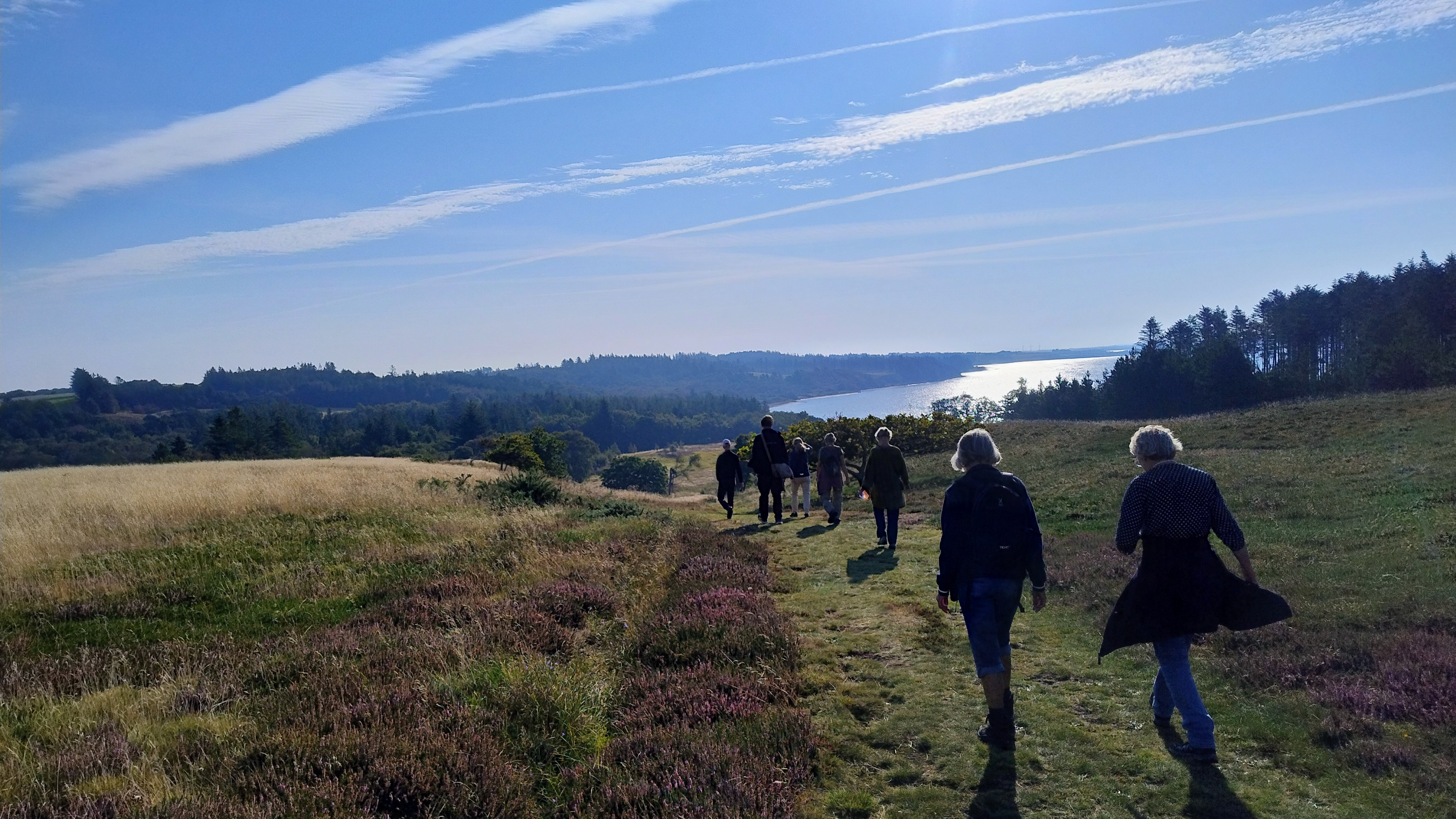 Vandrende fælleslæsning med Biblioteket i Thy