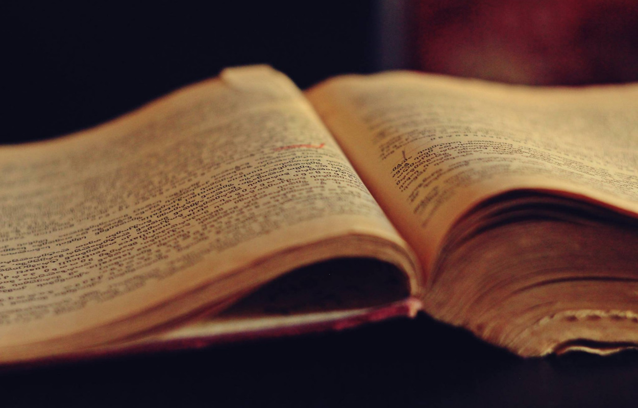 Frederikshavner får bevilget næsten 3 mio. kroner