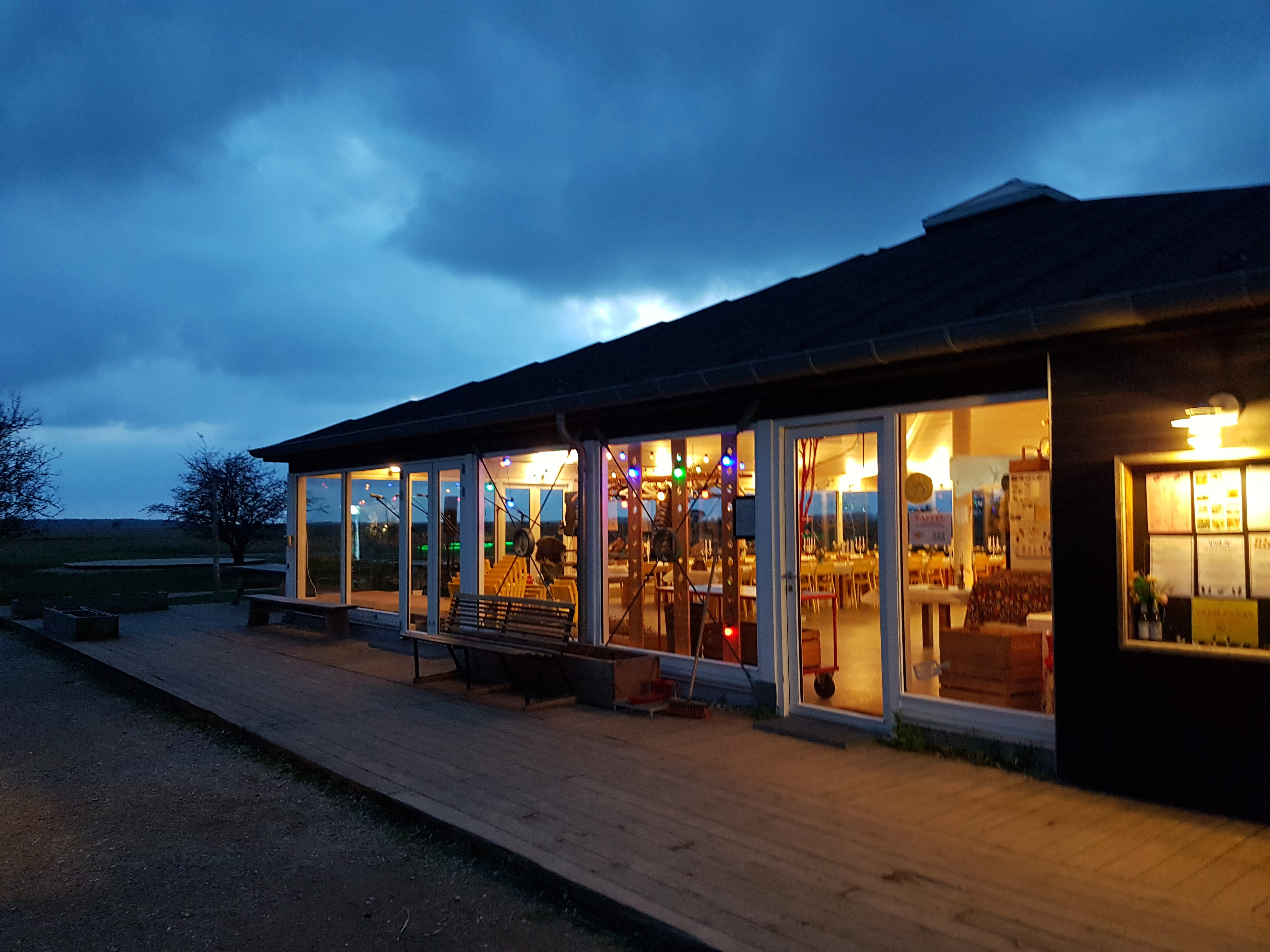 Tangomusik og tapas: En aften med TangoCatz i Kastrup