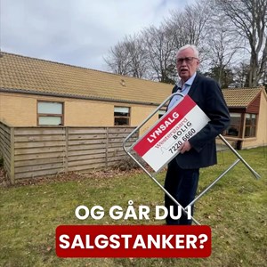 Opslagsbillede