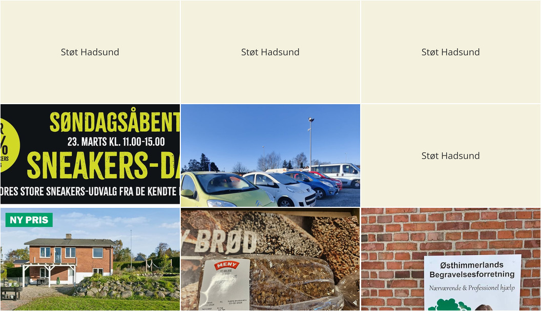 Nyt fra Nybolig Hadsund, Østhimmerlands Begravelsesforretning ApS, Allessko og 3 andre