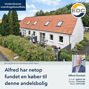 Opslagsbillede