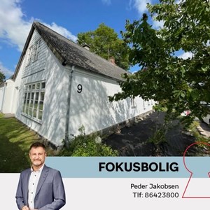 Opslagsbillede