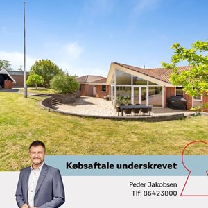 Opslagsbillede