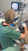 Dyrehospitalet Heden ApS investerer i nyt avanceret udstyr til øreundersøgelser