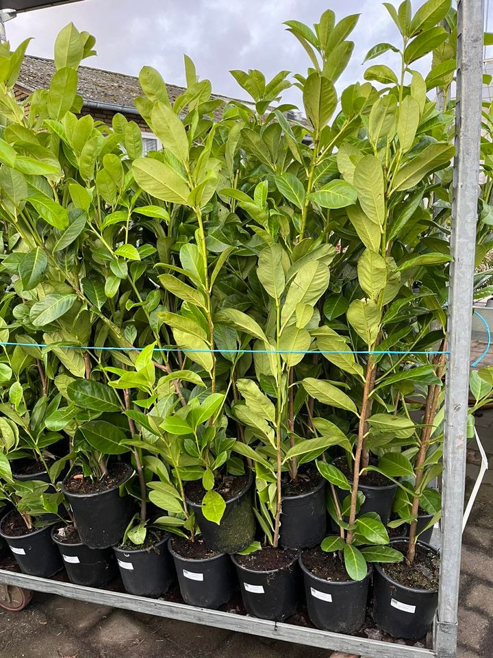 Se dagens updates fra Horsens her