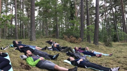 Naturoplevelser for stressramte i Kollerup Skov