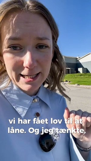 opslagsbillede