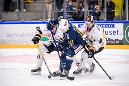 Blue Fox skal forværre Eagles stime af nederlag