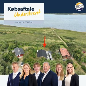 opslagsbillede