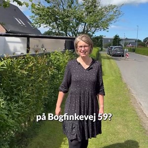 Opslagsbillede