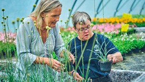 Ansøg om tilskud til frivilligt socialt arbejde i Holstebro inden april 2025