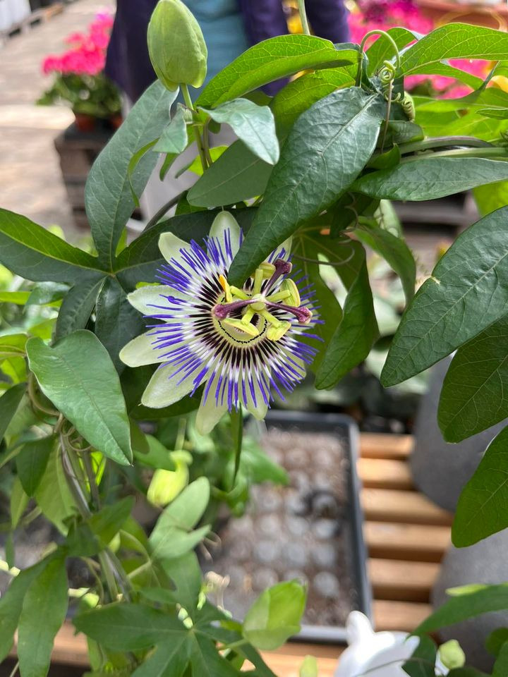 Se dagens updates fra Horsens her