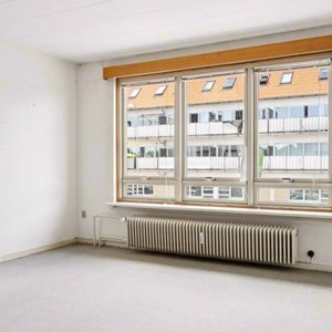 Opslagsbillede