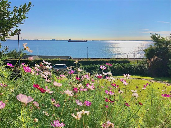 Priser op til 19,0  mio. kroner: Se de dyreste boliger til salg i Helsingør Kommune