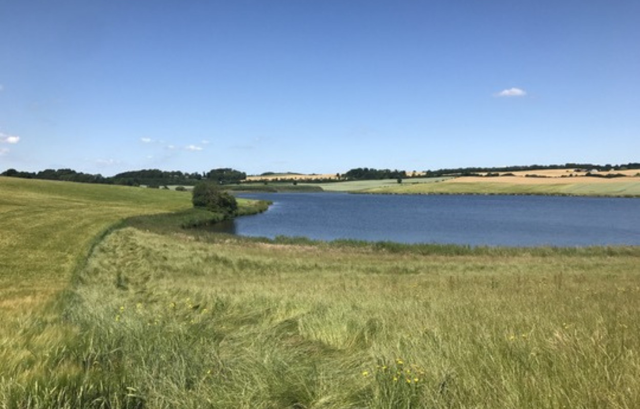 Lad ikke din hund drikke af eller bade i Gedved Sø eller Tolstrup Å