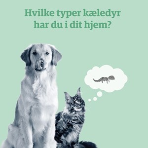 Opslagsbillede