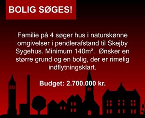 opslagsbillede
