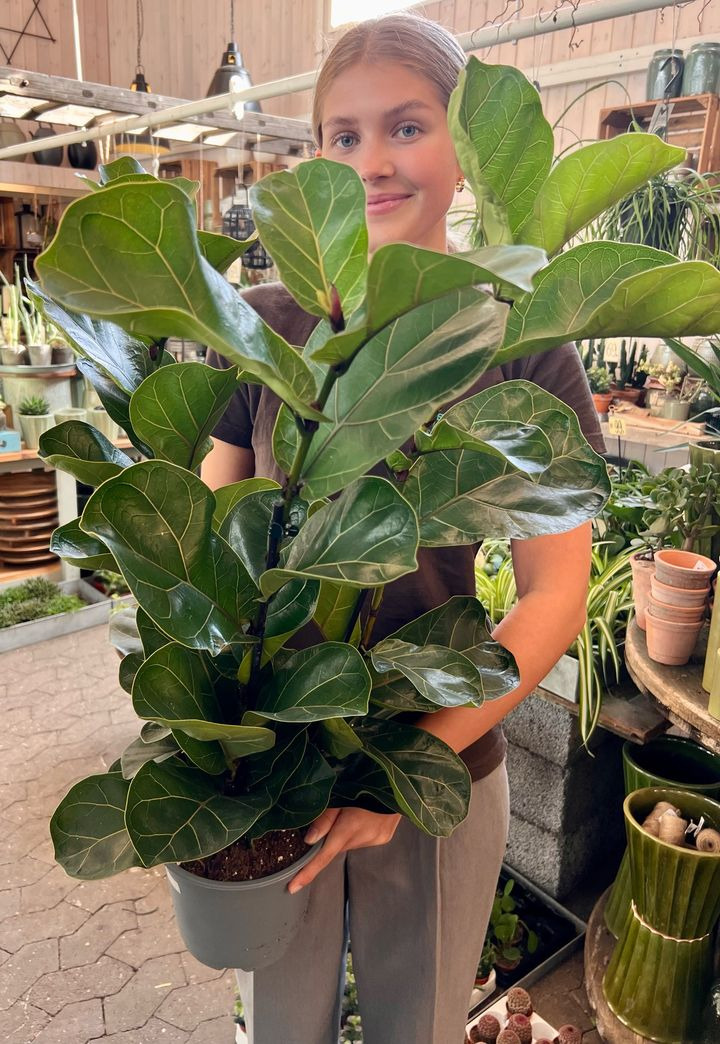 Hold trit med lokalområdet: Nyt fra Sæby