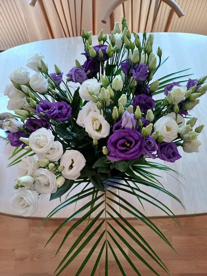 Se dagens updates fra Skive her