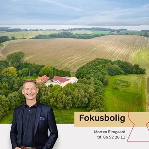 Opslagsbillede