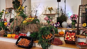 Oplev lokale delikatesser og kunst i Bovense Forsamlingshus