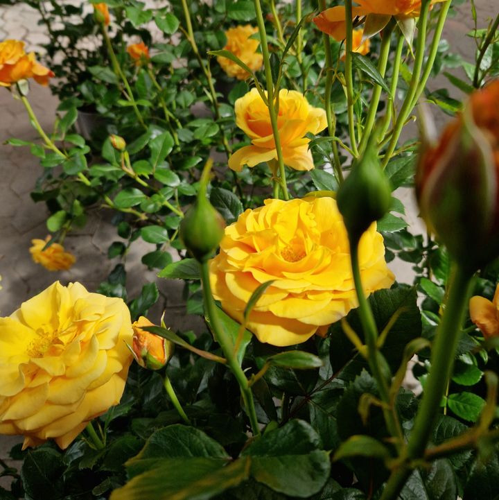 Hold dig ajour med dagens opdateringer fra Hobro