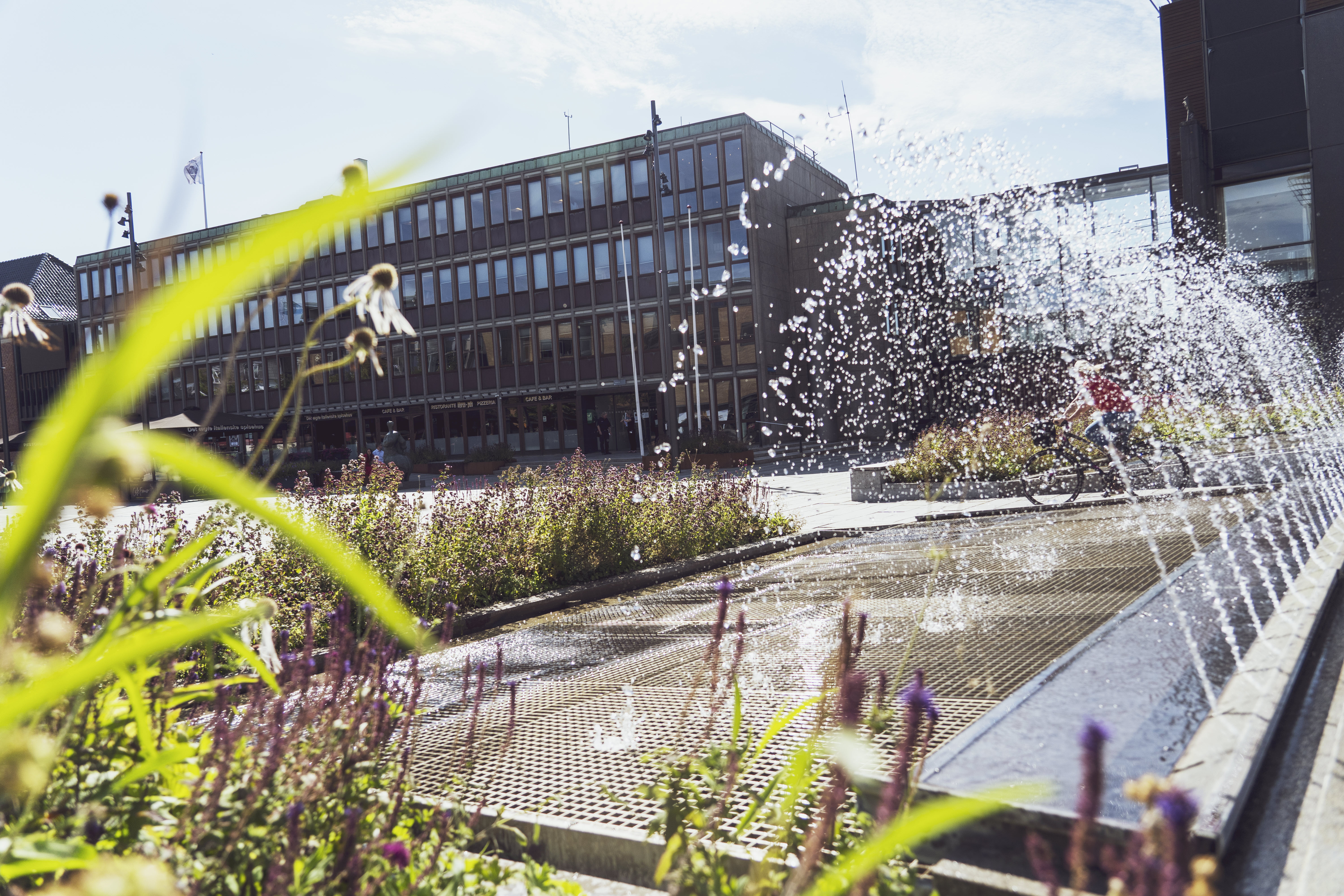 Ældrerådet afholder temadag den 1. oktober 2023