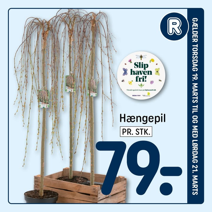 REMA 1000 Gødvad inviterer til forårsplantning med frugttræer og hængepil til haven