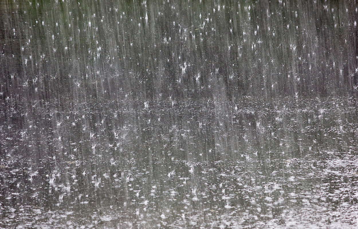 Solrød Kommune gør status over kystsikring efter barskt vinterhalvår