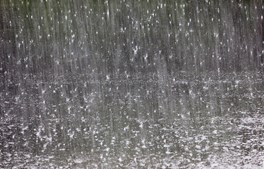 Solrød Kommune gør status over kystsikring efter barskt vinterhalvår