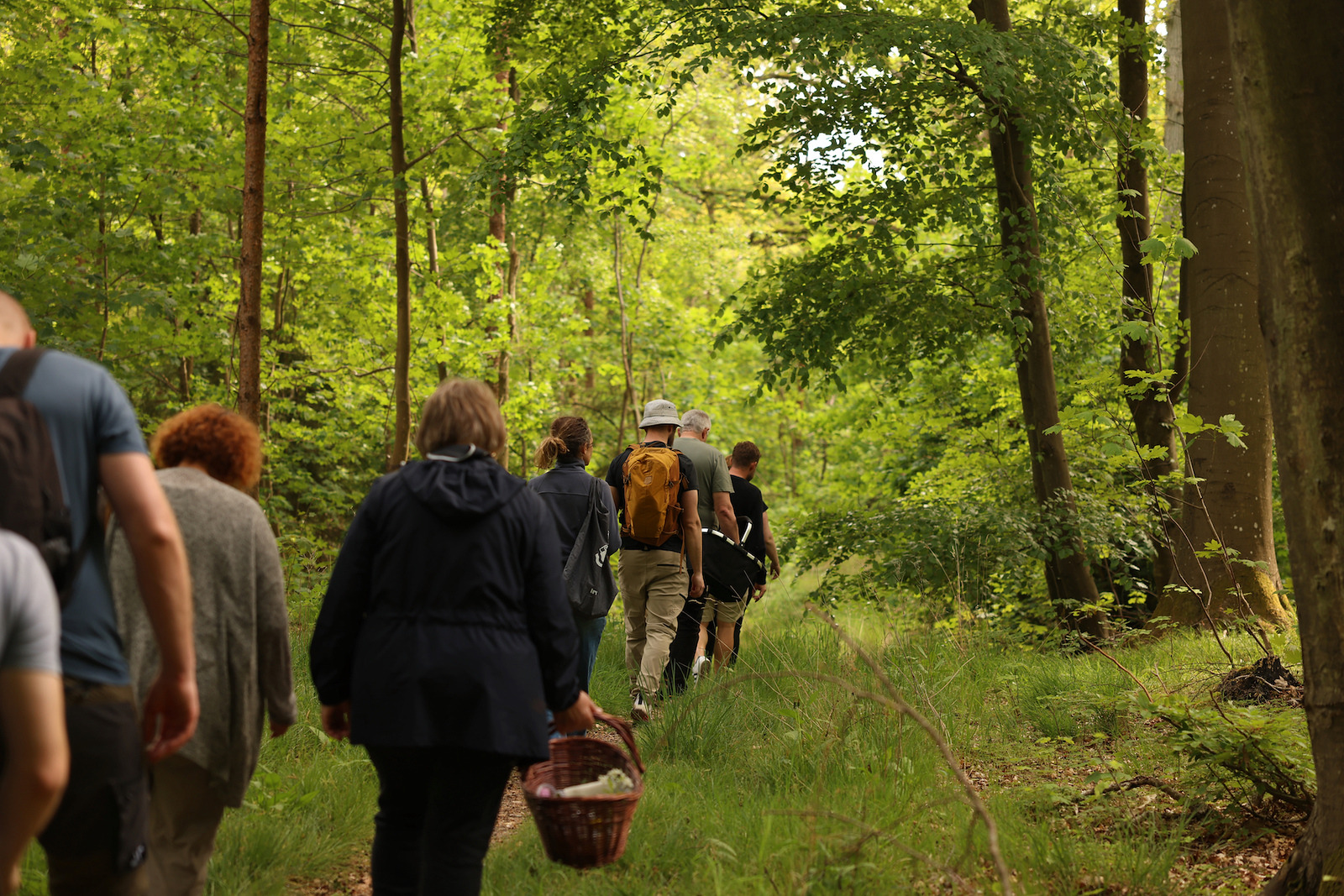 Find vild mad i naturen: Sanketur i Vestskoven